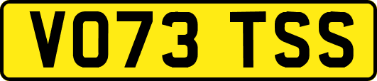 VO73TSS