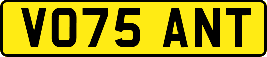 VO75ANT