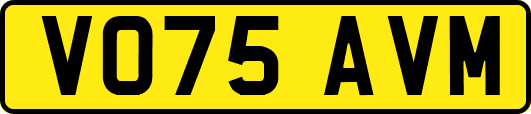 VO75AVM