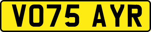VO75AYR