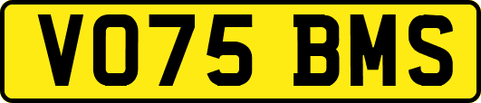 VO75BMS