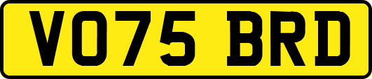 VO75BRD