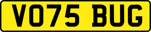 VO75BUG