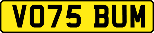 VO75BUM