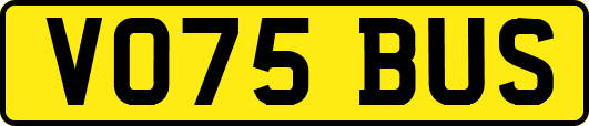 VO75BUS