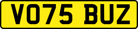 VO75BUZ