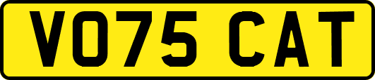 VO75CAT