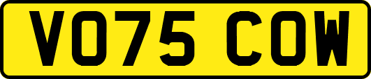 VO75COW