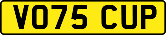 VO75CUP