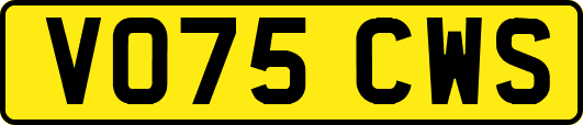 VO75CWS