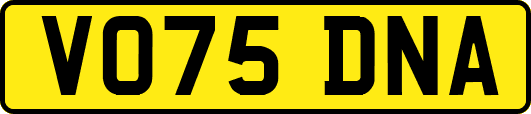 VO75DNA