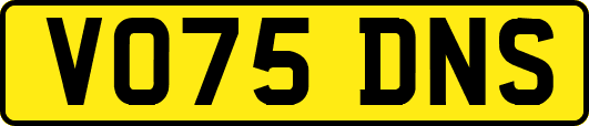 VO75DNS