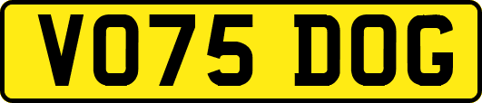 VO75DOG