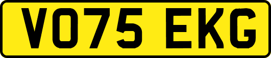 VO75EKG