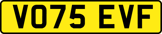 VO75EVF