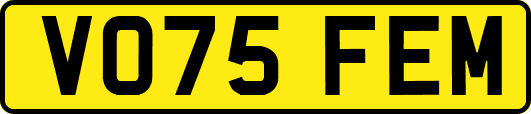 VO75FEM