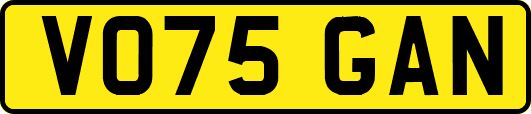 VO75GAN