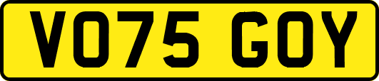VO75GOY