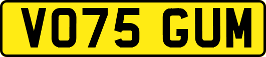 VO75GUM