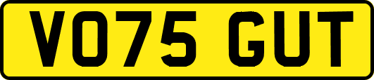 VO75GUT