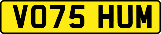 VO75HUM