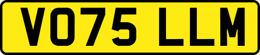 VO75LLM