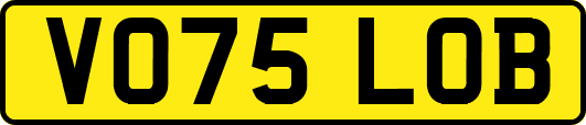 VO75LOB