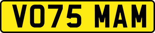 VO75MAM