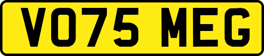VO75MEG