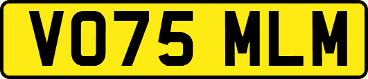 VO75MLM