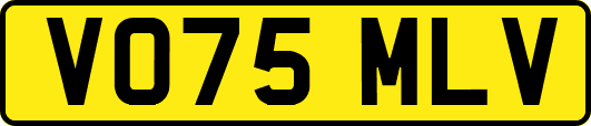 VO75MLV