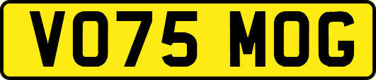 VO75MOG