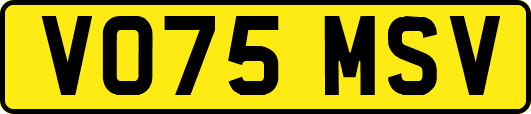 VO75MSV