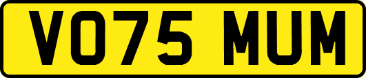 VO75MUM