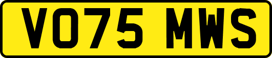 VO75MWS