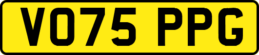 VO75PPG