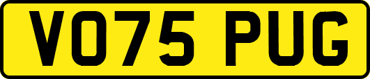 VO75PUG