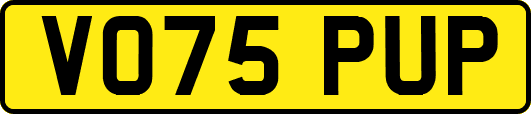 VO75PUP