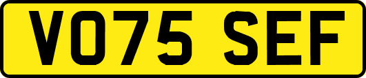 VO75SEF