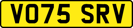 VO75SRV