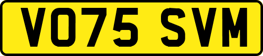VO75SVM