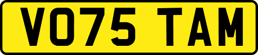 VO75TAM