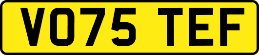 VO75TEF