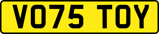 VO75TOY