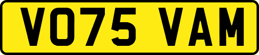 VO75VAM