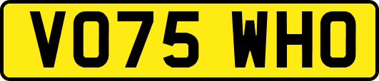 VO75WHO