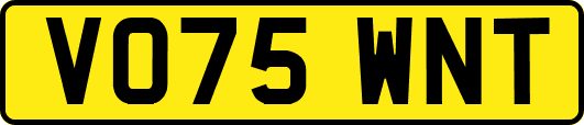 VO75WNT