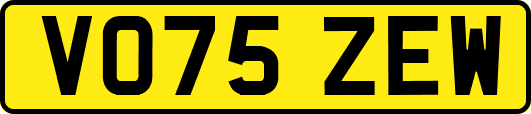 VO75ZEW