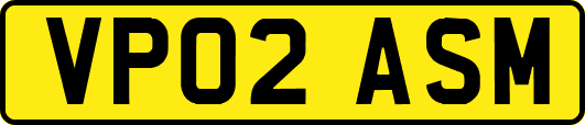 VP02ASM