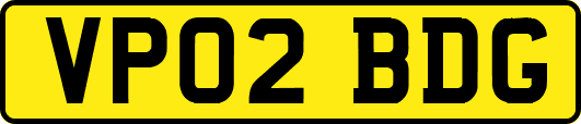 VP02BDG